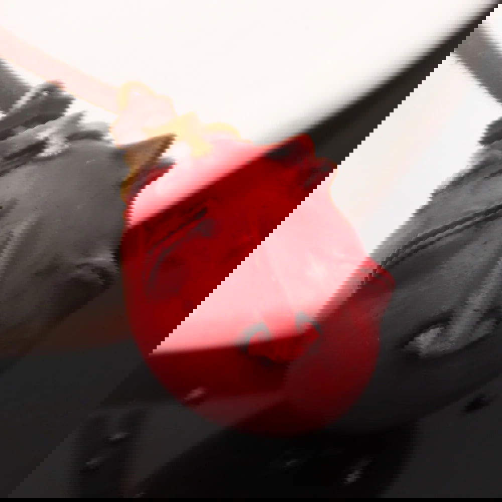 Berserk Egg of King Necklace - Senpai Attire