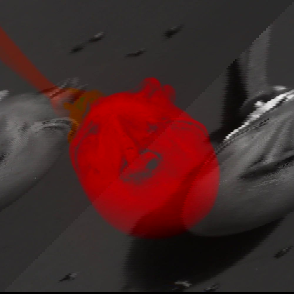 Berserk Egg of King Necklace - Senpai Attire